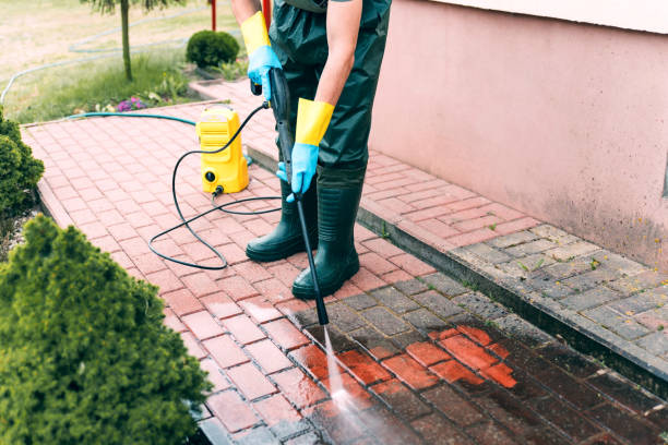 Best Solar Panel Cleaning  in Clinton, SC